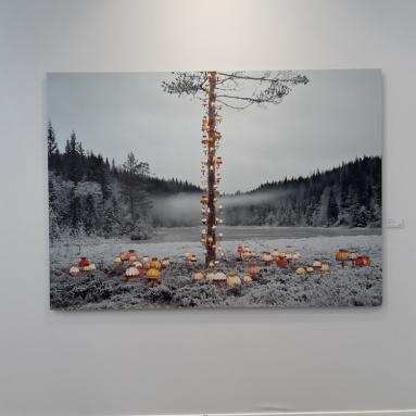 Rune Guneriussen, "At no time defeat sunrise". Digital c-print/aluminium, 150 x 211 cm.