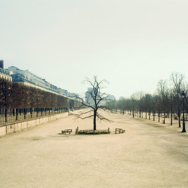 Jardin des Tuileries. 2014. Série "Paris", France(s) Territoire Liquide